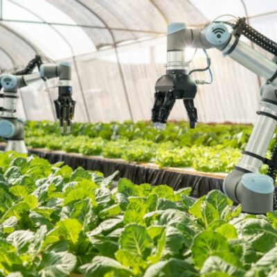 agricoltura-4.0-software-mercato-tecnologie